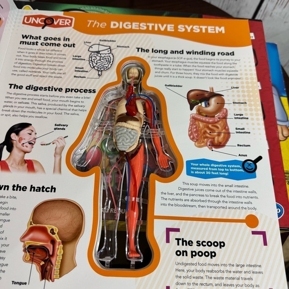 boardgames for kids lot of 3 operation, clue junior, the human body - Picture 5 of 10